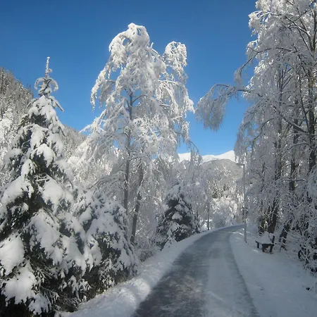 Anna Apartman Bad Gastein